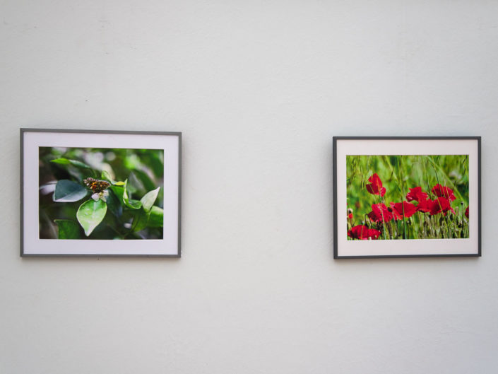 Quand fleurissent les sculptures au Jardin Exotique