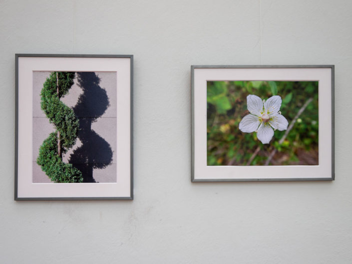 Quand fleurissent les sculptures au Jardin Exotique