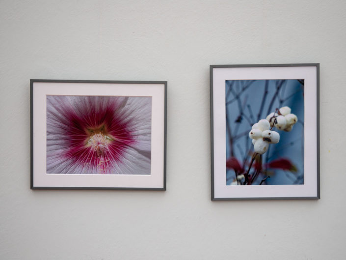 Quand fleurissent les sculptures au Jardin Exotique