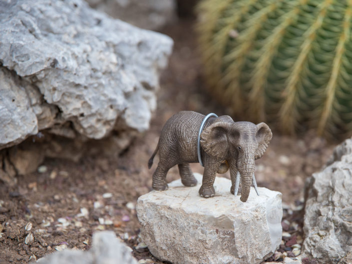 Quand fleurissent les sculptures au Jardin Exotique