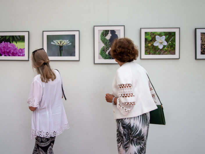 Quand fleurissent les sculptures au Jardin Exotique