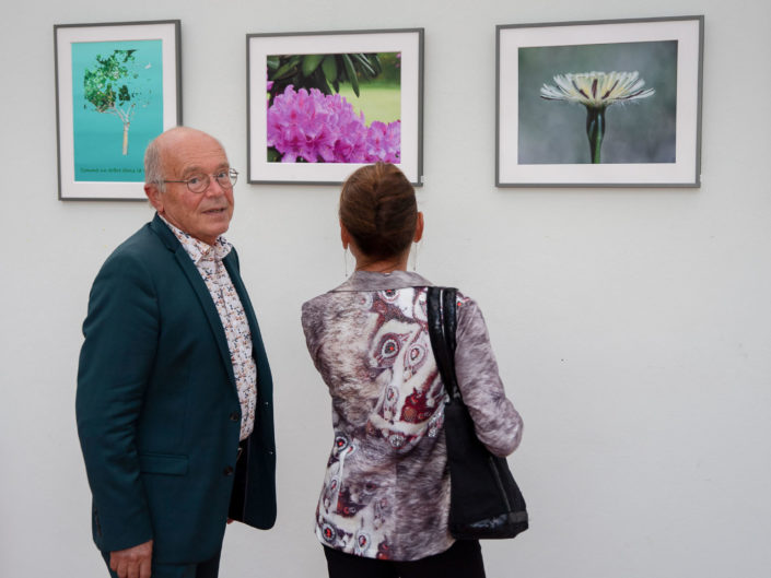 Quand fleurissent les sculptures au Jardin Exotique