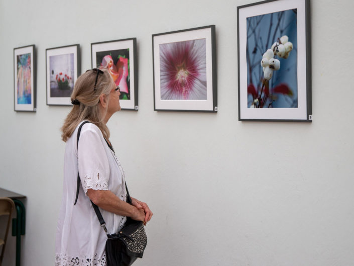 Quand fleurissent les sculptures au Jardin Exotique