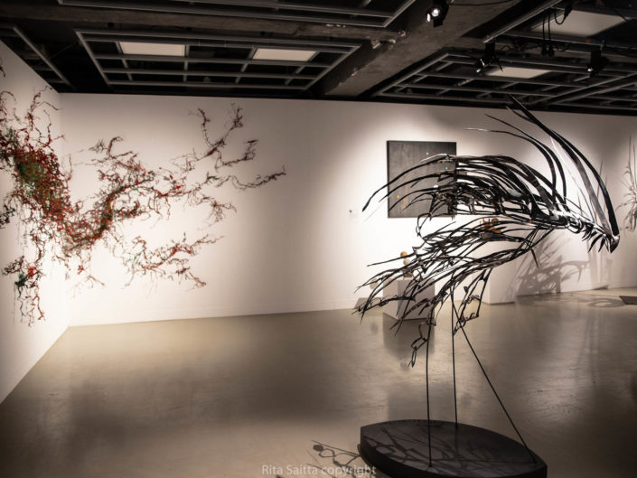 Vernissage et les prix du Salon 2019 : Artistes + Science