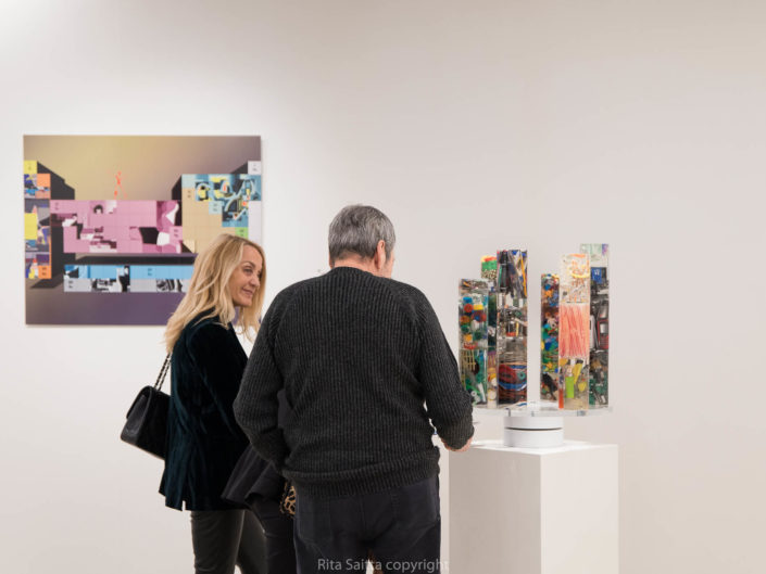 Vernissage et les prix du Salon 2019 : Artistes + Science