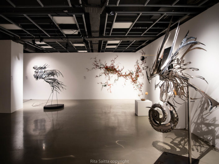 Vernissage et les prix du Salon 2019 : Artistes + Science