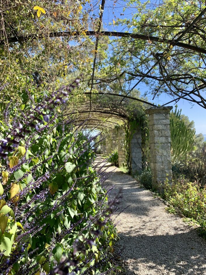 JARDINS BOTANIQUES DE HANBURY