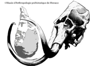 Musée d’Anthropologie préhistorique de Monaco