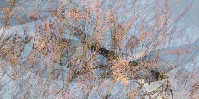 IVANA BORIS, EN RESONANCE(S)