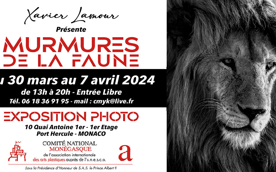Exposition « Murmures de la Faune » de Xavier Lamour du 30 mars au 7 avril 2024